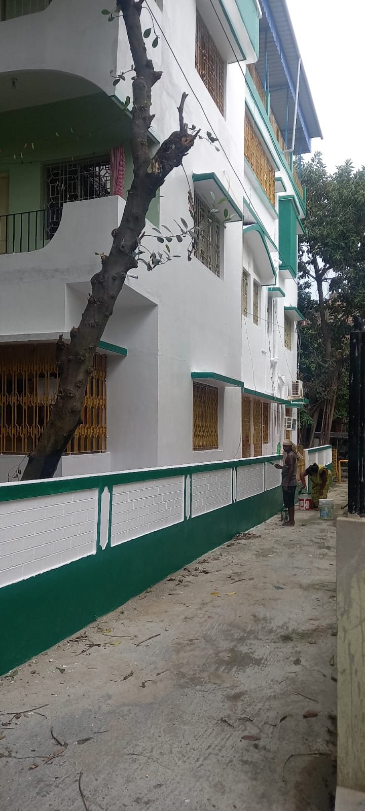 Institutional Project